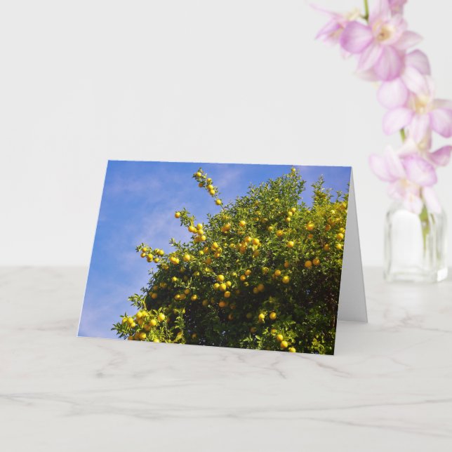 Mandarin Orange Tree Portrait Card (Orchid)