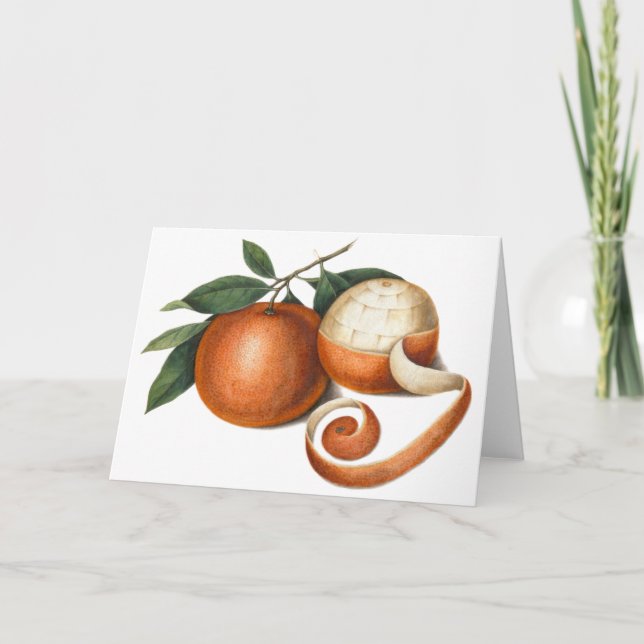 Mandarin Oranges: Antique Painting from China Holiday Card (Front)
