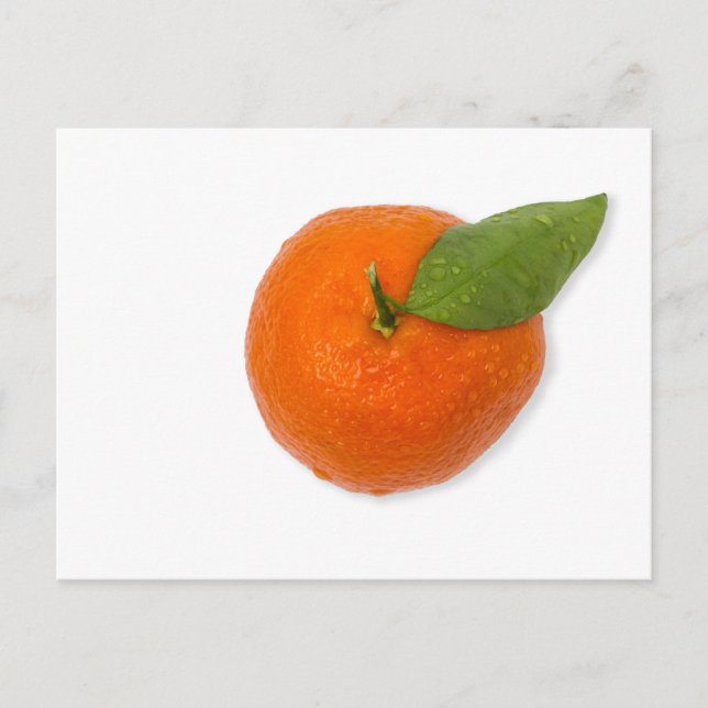 Mandarin with green leaf postcard (Front)