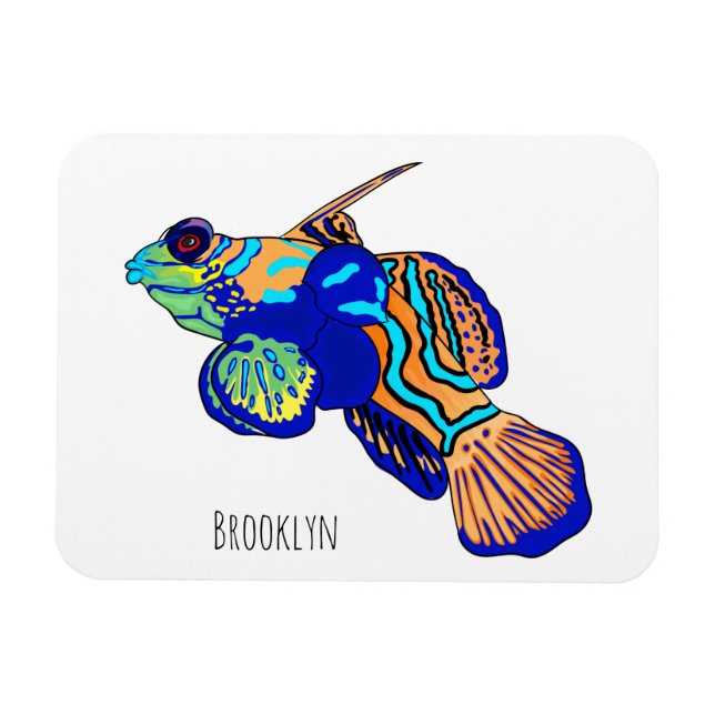 Mandarinfish cartoon illustration magnet (Horizontal)
