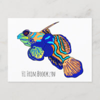Mandarinfish cartoon illustration