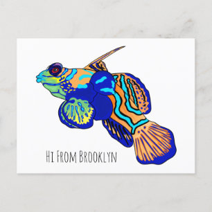 Mandarinfish cartoon illustration postcard