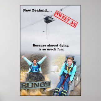 mander2 poster