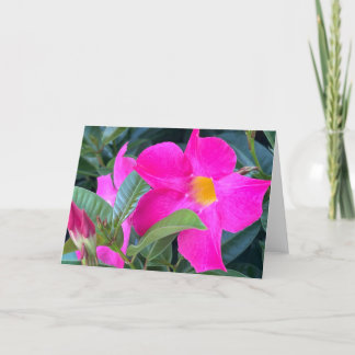 Mandevilla Blank Note Card