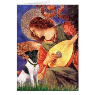 Mandolin Angel - Smooth Fox Terirer