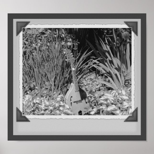 Mandolin Iris Garden Black And White Snapshot Poster (Front)