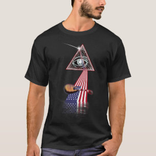 Mandolin Lover Vintage Retro Prism US Flag Mandoli T-Shirt