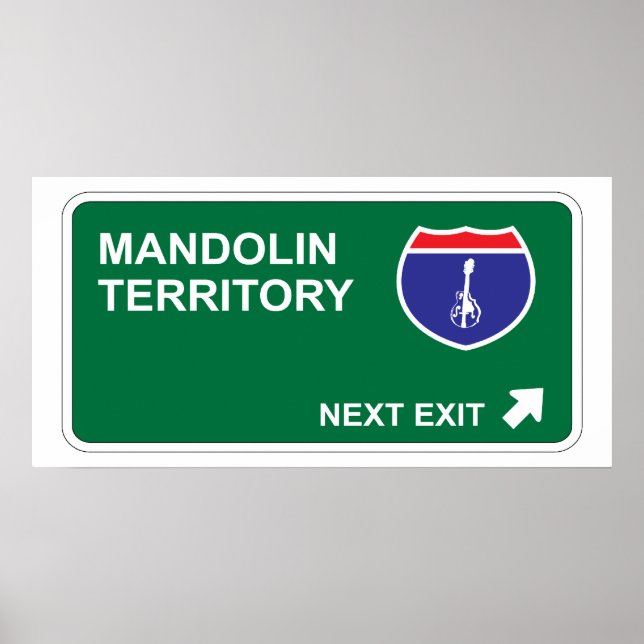 Mandolin Next Exit Poster (Front)