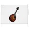 Mandolin Picker