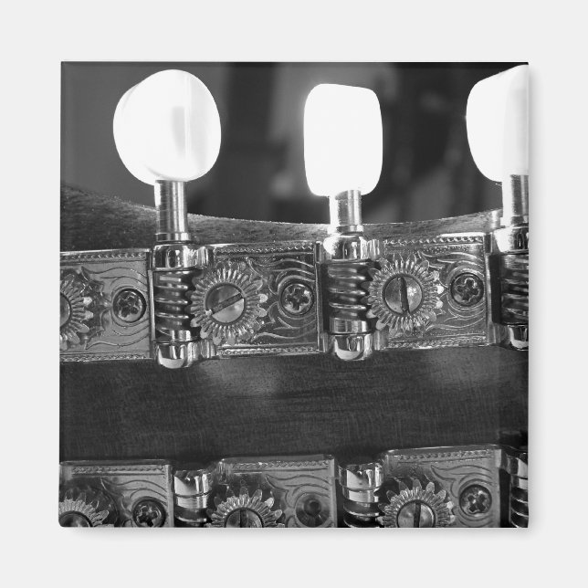 Mandolin Tuning Pegs Magnet (Front)