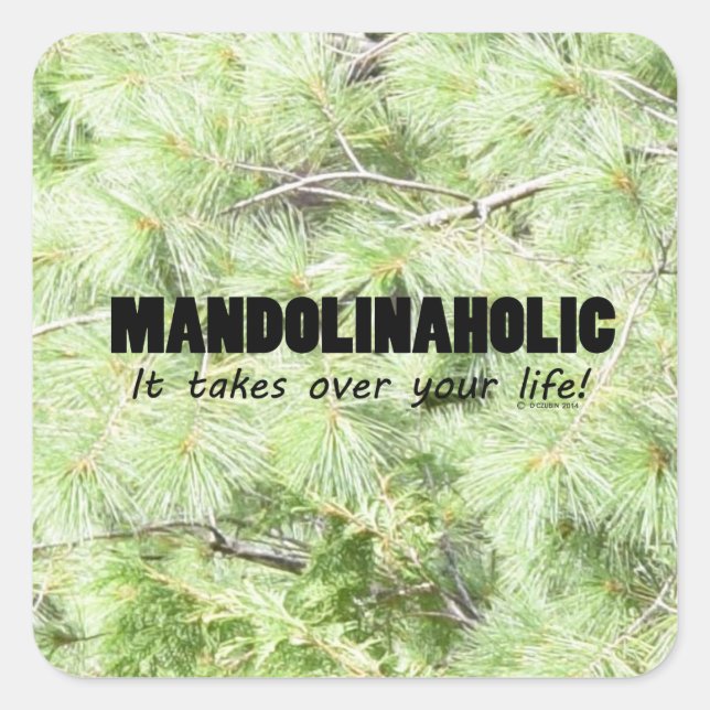 Mandolinaholic Life Square Sticker (Front)