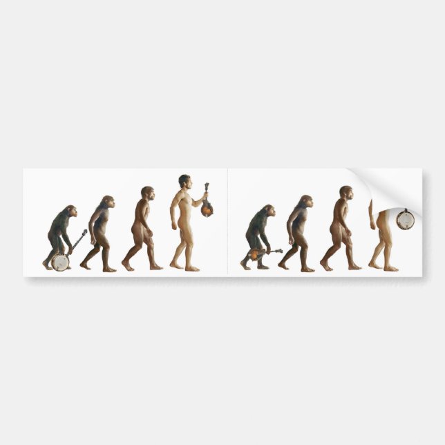 Mandolution Bumper Sticker (Front)