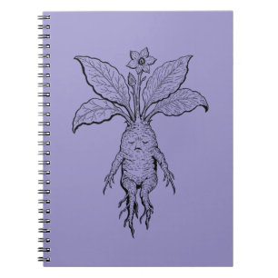 Mandrake Notebook