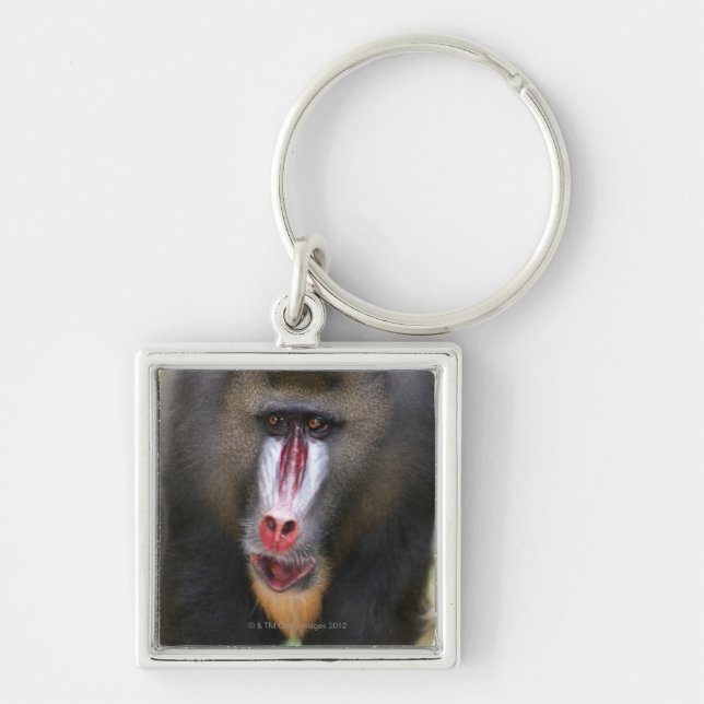 Mandril (Mandrillus sphinx) close up Key Ring (Front)