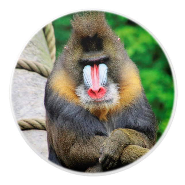 Mandrill 001 ceramic knob (Front)