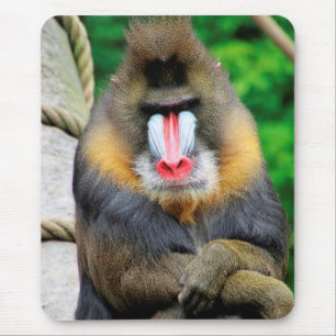 Mandrill 001 mouse pad