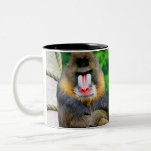 Mandrill 001 Two-Tone coffee mug