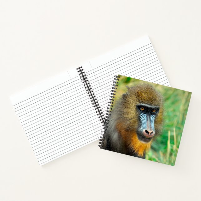 Mandrill 002 notebook (Inside)