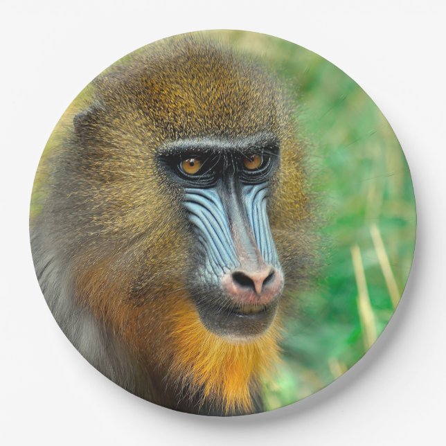 Mandrill 002 paper plate (Front)