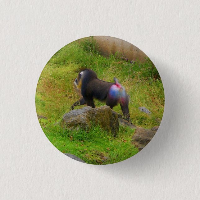 Mandrill #4 Pinback Button (Front)
