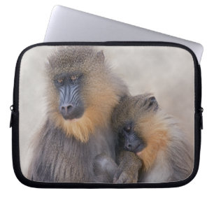 Mandrill and Young Laptop Sleeve