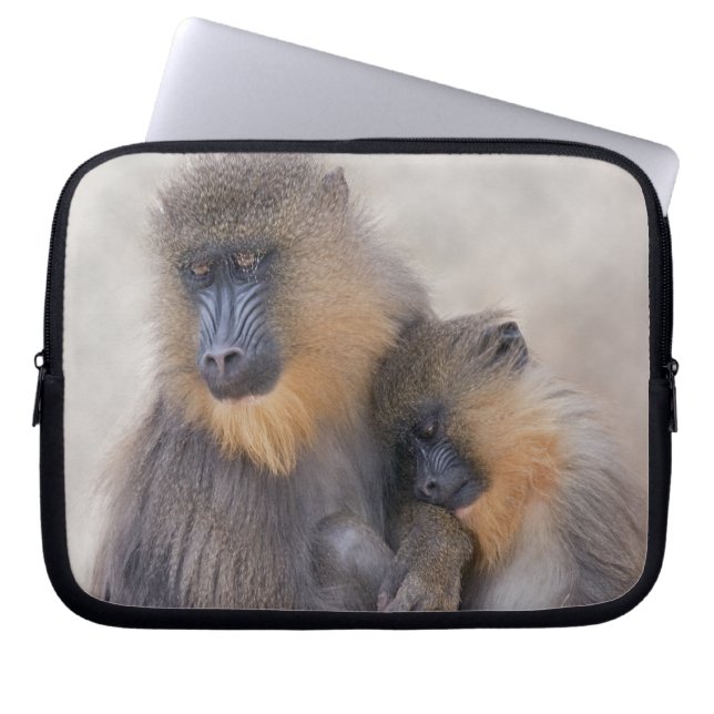 Mandrill and Young Laptop Sleeve (Front)
