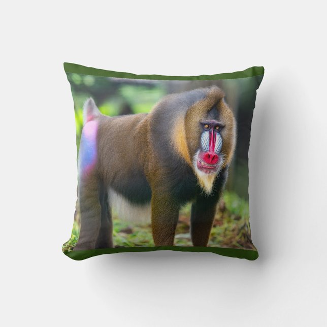 Mandrill Baboon Cushion (Mandrill known for their striking red, blue and purple facial markings.)