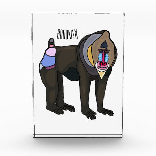 Mandrill cartoon illustration photo block