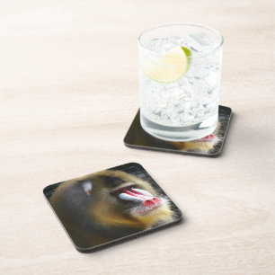 Mandrill Cork Coasters