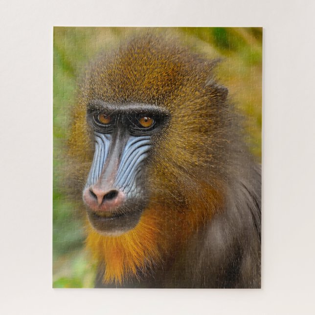 Mandrill Monkeys. Jigsaw Puzzle (Vertical)