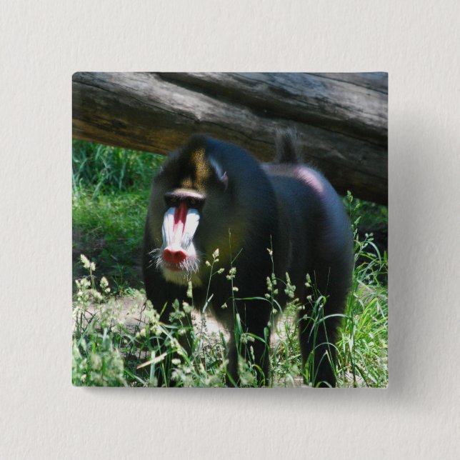 Mandrill Pin (Front)