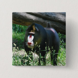 Mandrill Pin