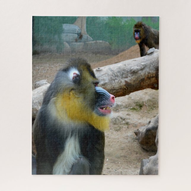 Mandrills Jigsaw Puzzle (Vertical)