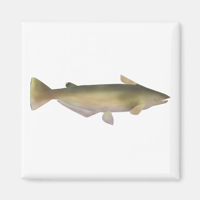 Manduba Magnet (Front)