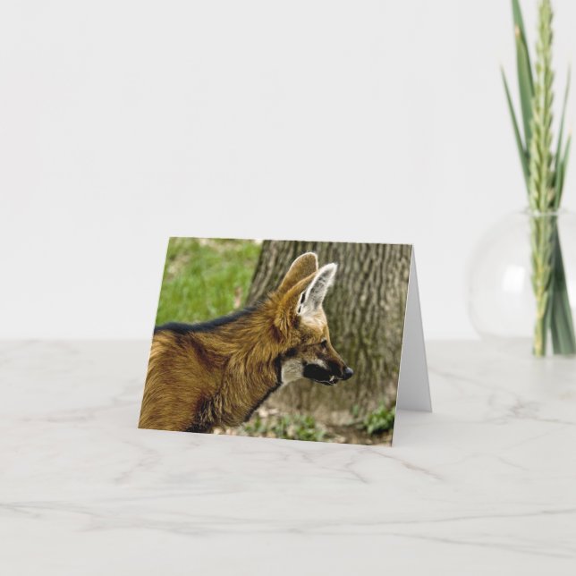 Maned Wolf  1529 Note Card (Front)
