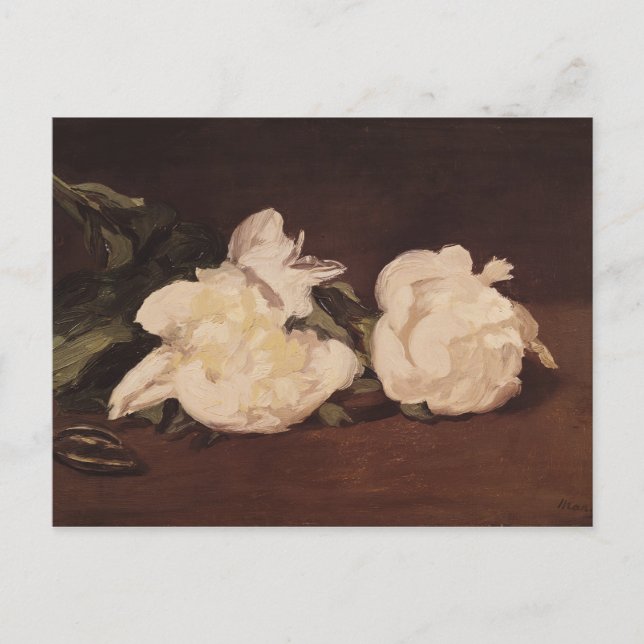Manet | Branch of White Peonies and Secateurs Postcard (Front)