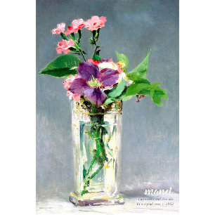Manet Carnations clematis CC1240 Beautiful flowers Poster