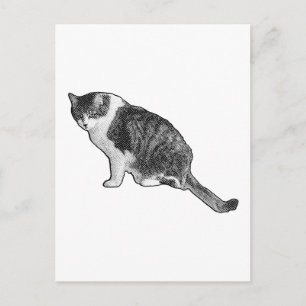 Manga Cat Postcard Delivers Graphic Holiday Fun