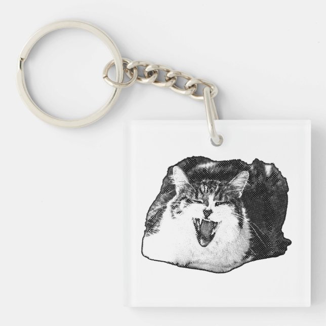 Manga Meow, Clip Cheer Key Ring (Front)