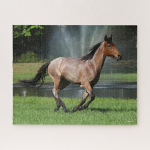 Mangalarga Running in Front of Fountain Jigsaw Puzzle