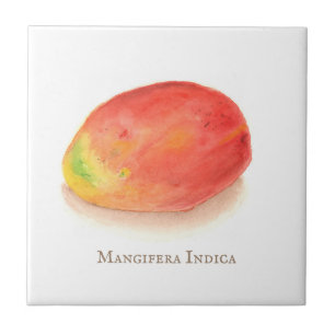 Mango! Ceramic Tile