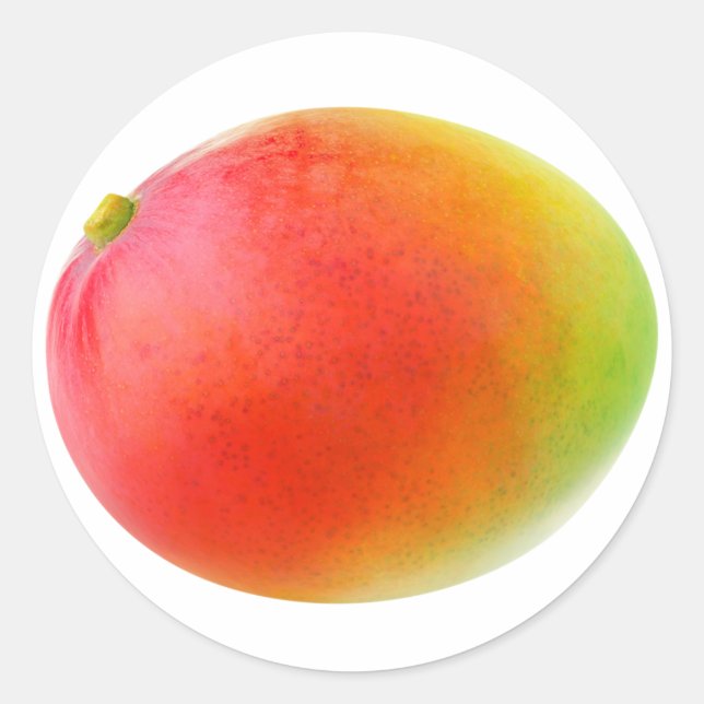 Mango Classic Round Sticker (Front)