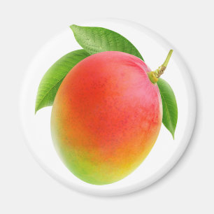 Mango Magnet