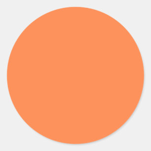 Mango Orange Solid Colour Classic Elegant Round Sticker