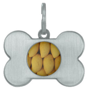 Mango Pet ID Tag