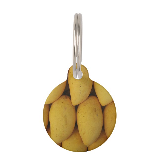 Mango Pet Tag (Front)