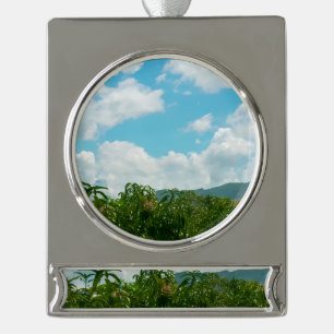 Mango Plantation Dambulla Sri Lanka Acrylic Wall Silver Plated Banner Ornament