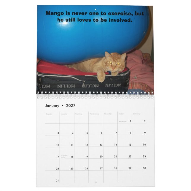 Mango Puppy Calendar (Jan 2027)
