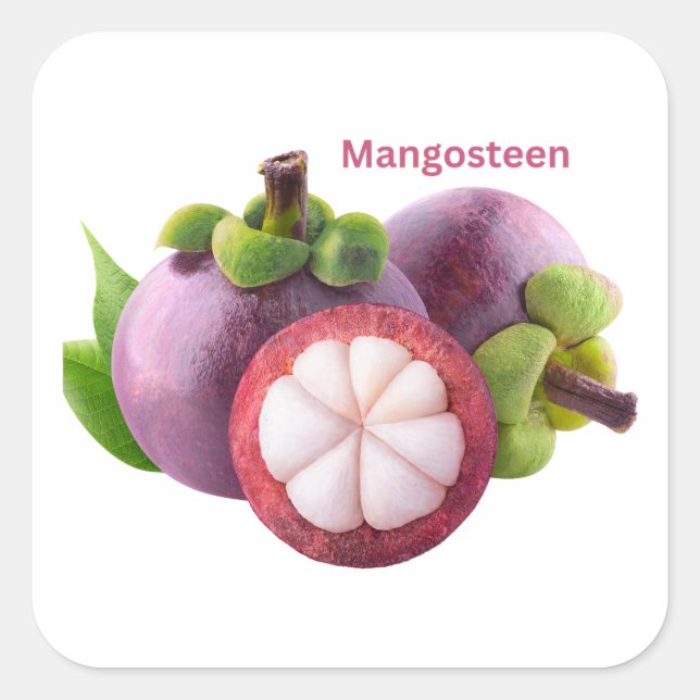 Mangosteen Fruit Sticker (Front)