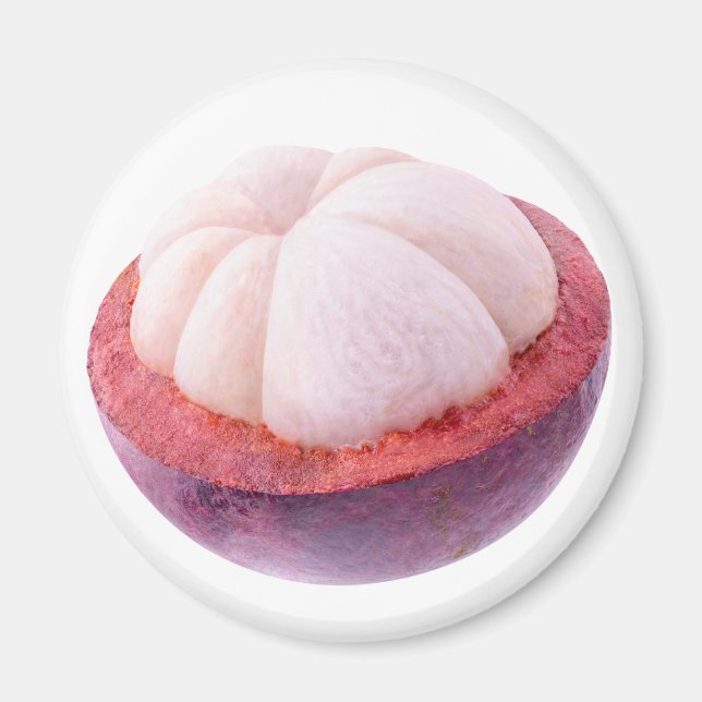 Mangosteen half magnet (Front)
